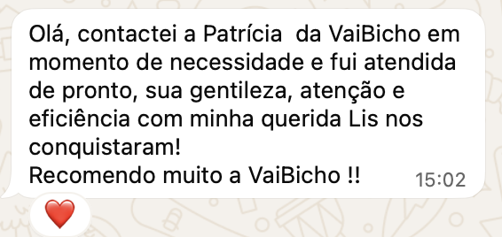 Avaliação de Bia via WhatsApp