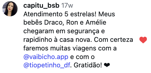Avaliação de Fernanda via WhatsApp