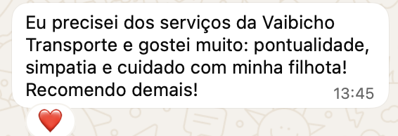 Avaliação de Pedro via WhatsApp