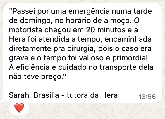 Avaliação de Sarah via WhatsApp